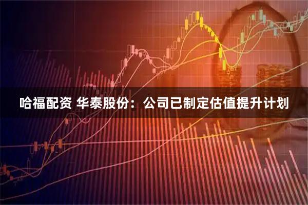 哈福配资 华泰股份：公司已制定估值提升计划