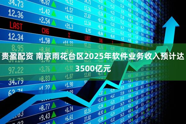 贵盈配资 南京雨花台区2025年软件业务收入预计达3500亿元