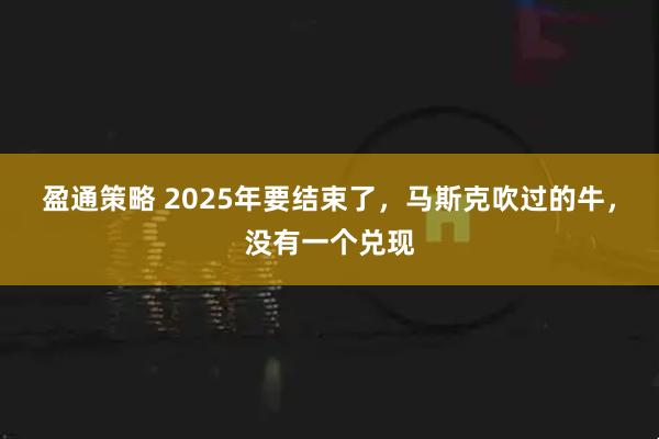 盈通策略 2025年要结束了，马斯克吹过的牛，没有一个兑现