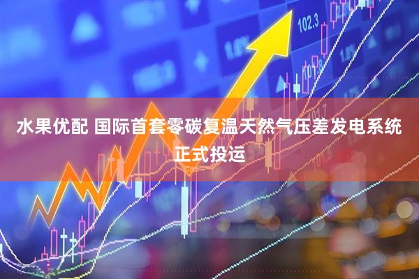 水果优配 国际首套零碳复温天然气压差发电系统正式投运