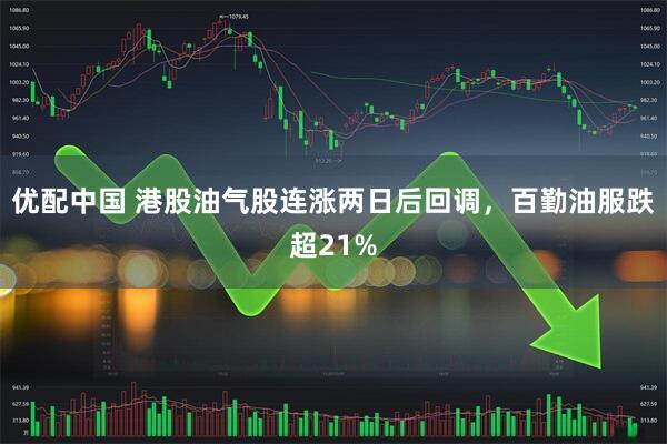 优配中国 港股油气股连涨两日后回调，百勤油服跌超21%